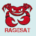 logo Zloy Lemon (The RageSat)
