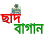 ছাদ বাগান