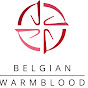 Belgian Warmblood BWP