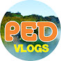 Pedalaman Vlogs