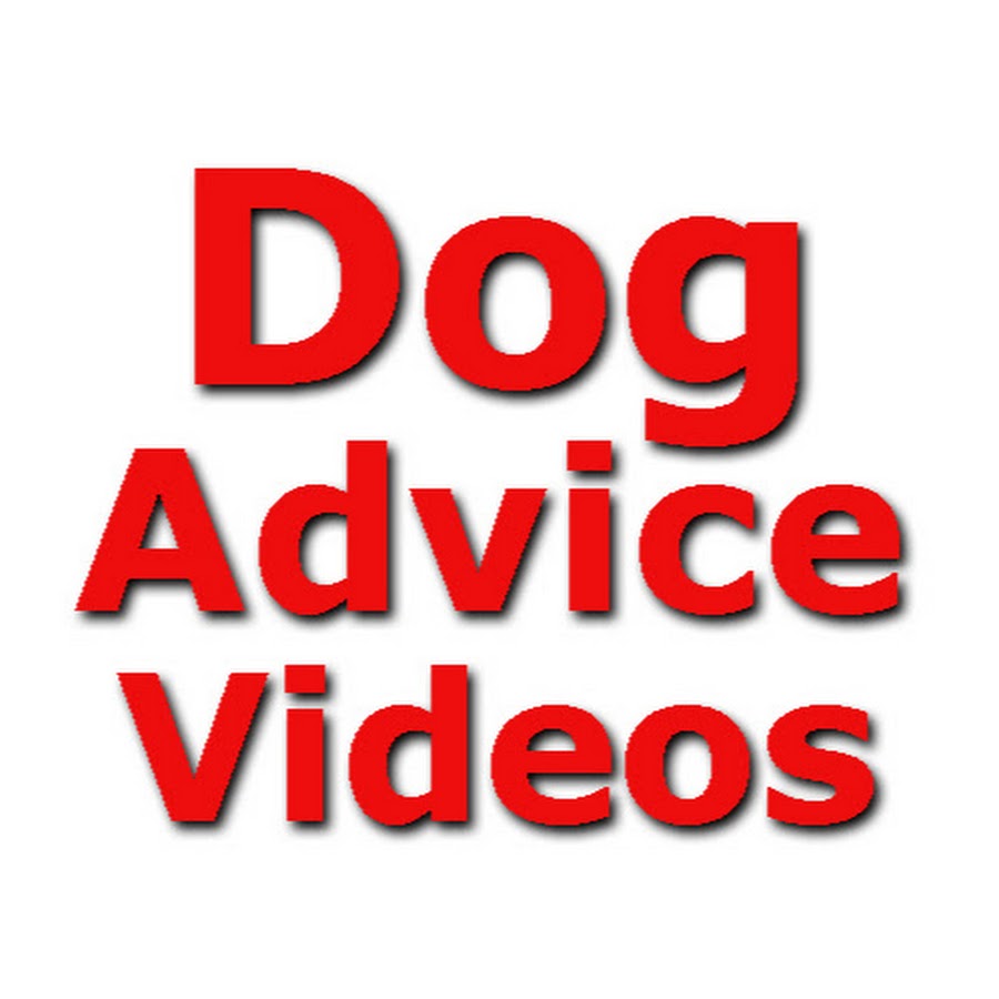 Dog Advice Videos