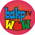 logo bakpWOW_TV