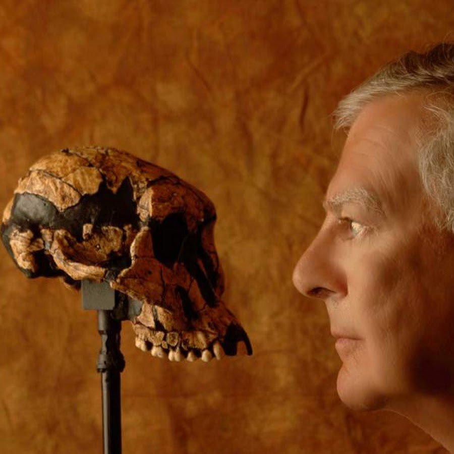 Antropología biológica @antropologiabiologica1442