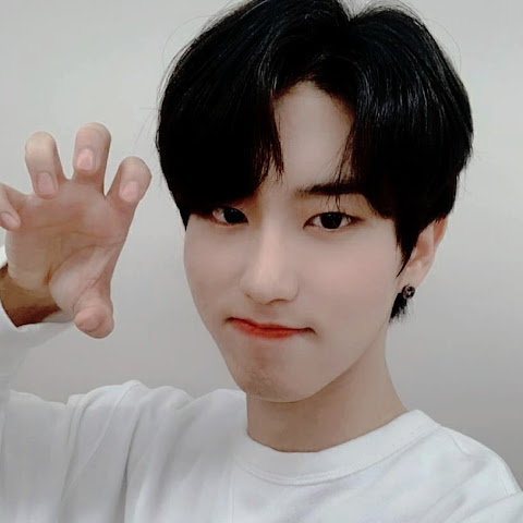 influencer profile picture