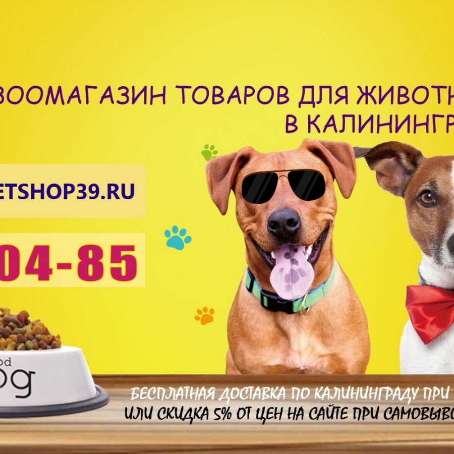 PetShop39. RU Интернет-Зоомагазин в Калининграде - YouTube