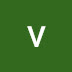 logo vvsvsv