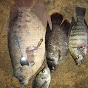 Spearfishing Danau Toba