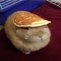 pancake on a rabbit