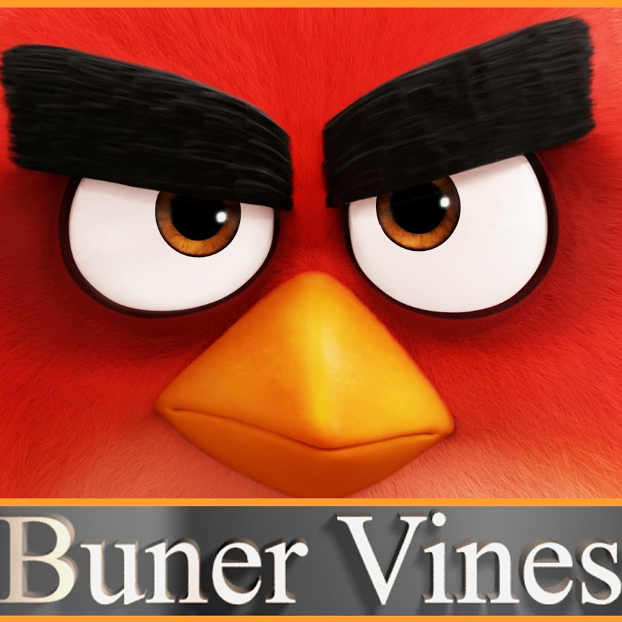Buner Vines