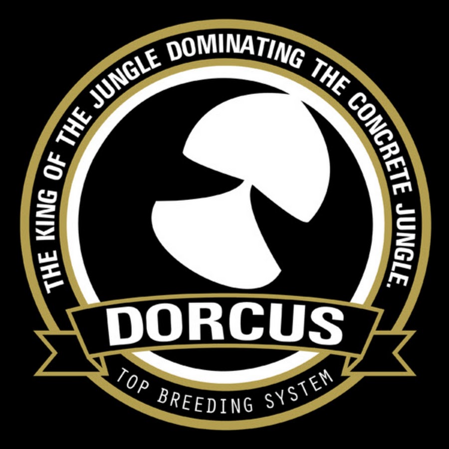 DORCUS TOP BREEDING SYSTEM