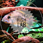 The Fish Lab