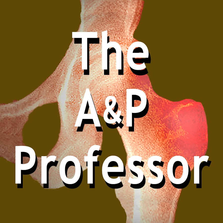 The A&P Professor