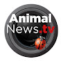 AnimalNewsTV