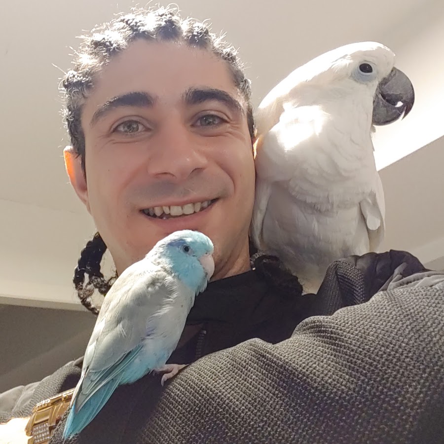 Cockatoo Luck