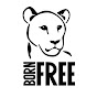 Born Free Foundation