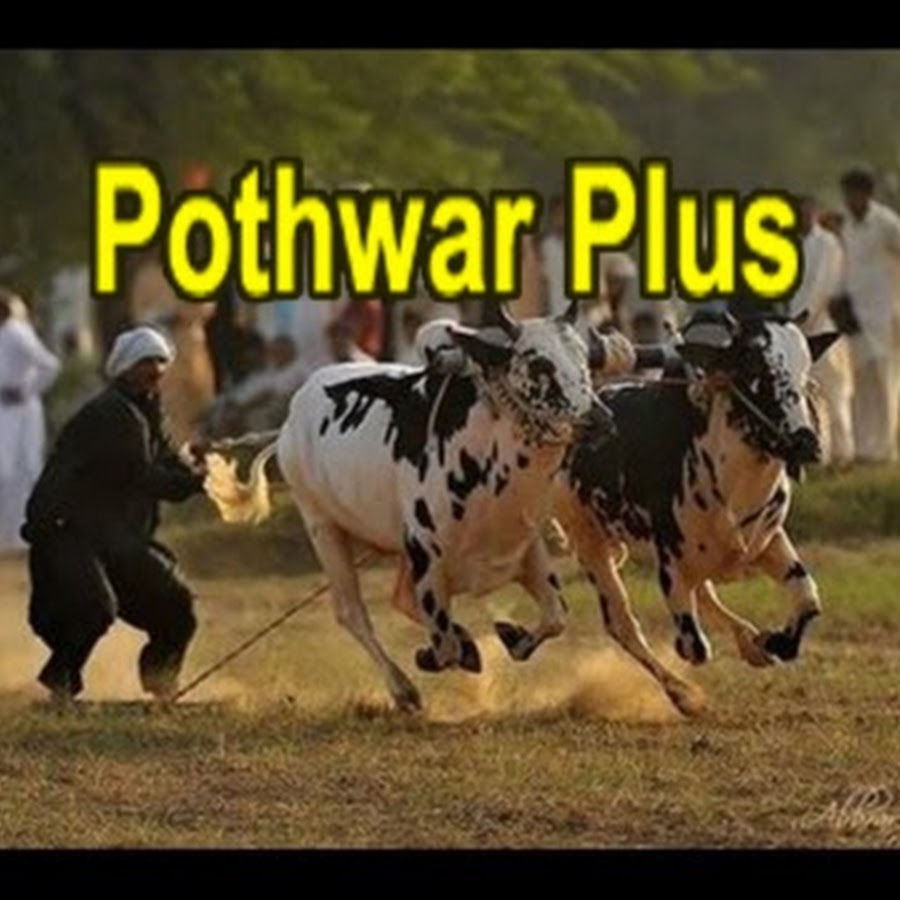 Pothwar Plus @Pothwarpluss