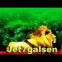 jet7galsen