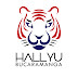 logo Hallyu Bucaramanga