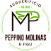 Molinas Group