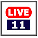 LIVE 11