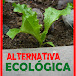 ALTERNATIVA ECOLÓGICA