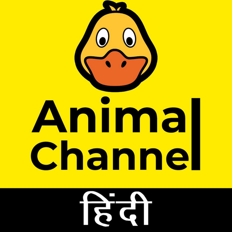 Animal Channel Hindi