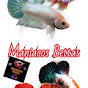 Maniacos Bettas