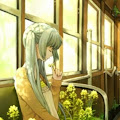 Artist Thumbnail