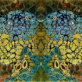 Artist Thumbnail