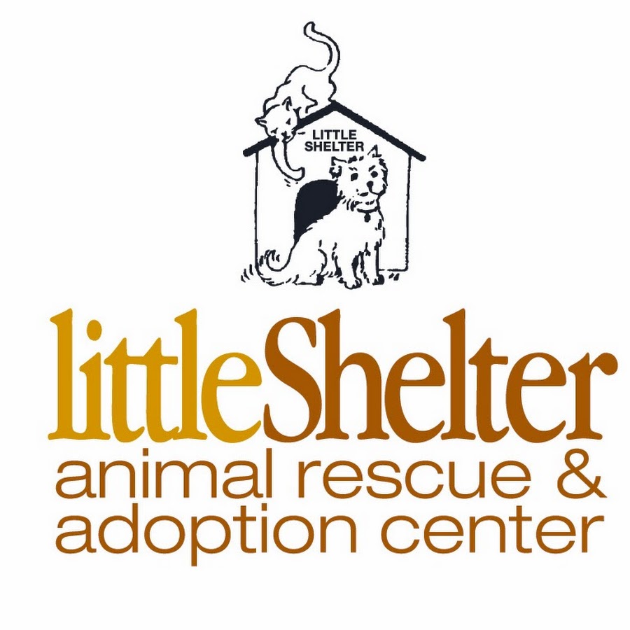 Little Shelter Animal Rescue Adoption Center YouTube