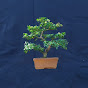 Dulur Bonsai