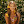 alexarivera avatar