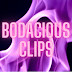 logo BodaciousClips