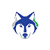 logo Financial Wolves