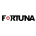 logo ТЕПЛОВИЗОРЫ И ПРИЦЕЛЫ FORTUNA ARMY