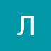 logo ЛизаДемина