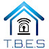 logo Tampa Bay Electronic Systems