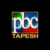 logo Tapesh TV Network