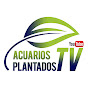 Acuarios Plantados TV