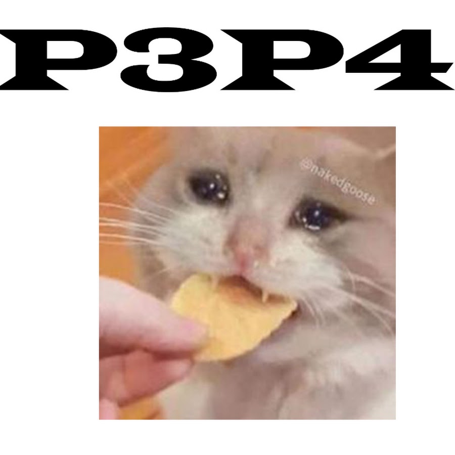 P3P4 memes