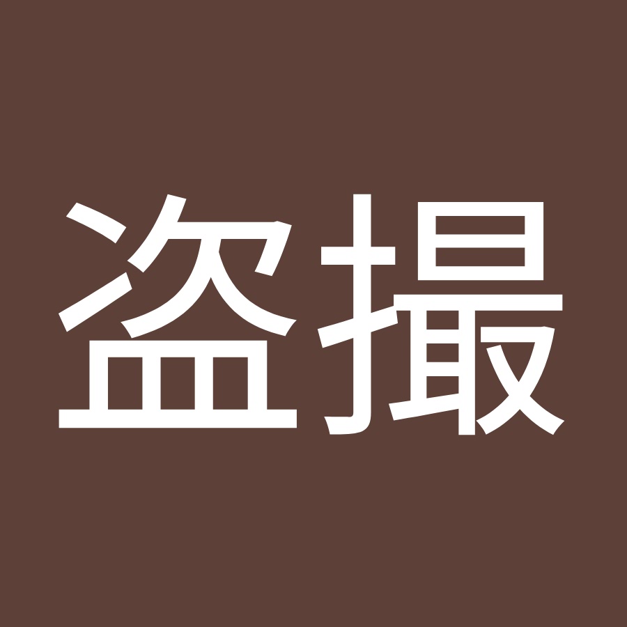 盗撮見聞録 