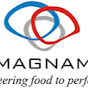 MAGNAM NETLINK PVT LTD