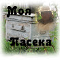 My Apiary