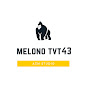 MELONO TVT