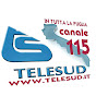 TeleSud