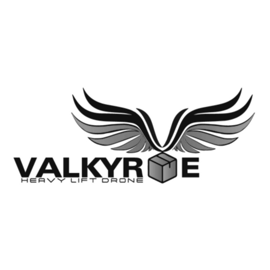 Valkyrie pro. Валькирия логотип. Valkyrie Performance Design. Агентство недвижимости Валькирия. Магадан Валькирия.