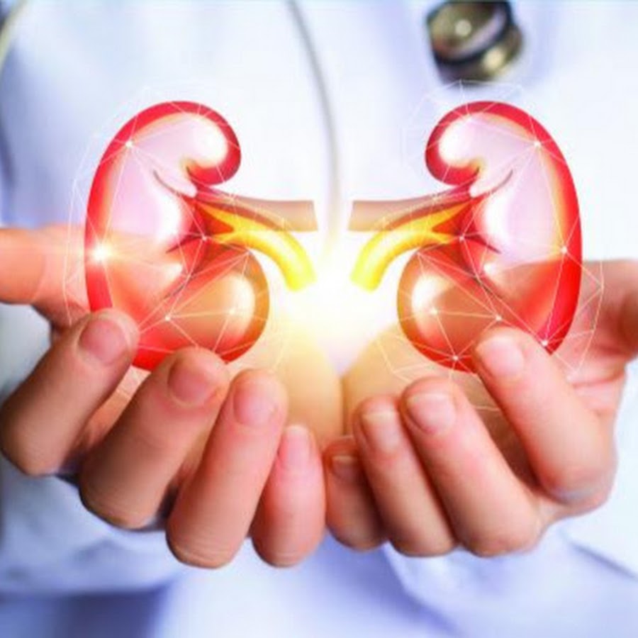 Health and Kidney