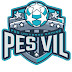 logo Виль PES VIL