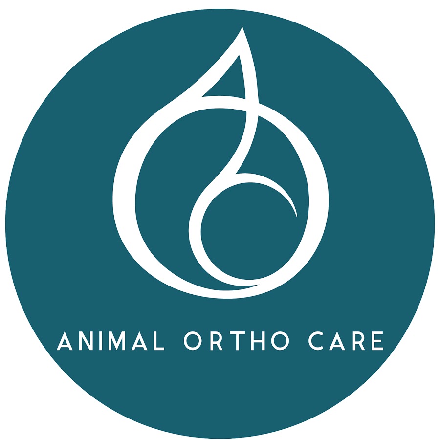 Farm Animal Custom Leg Brace - Animal Ortho Care