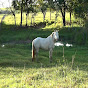 Fazenda Santa Rita de Cássia